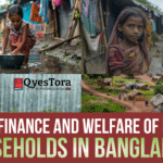 Microfinance and Welfare of Rural Households in Bangladesh