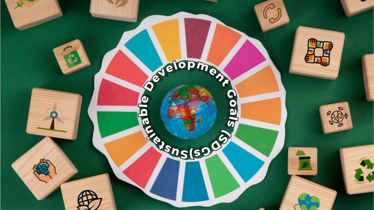 Sustainable Development Goals (SDGs)