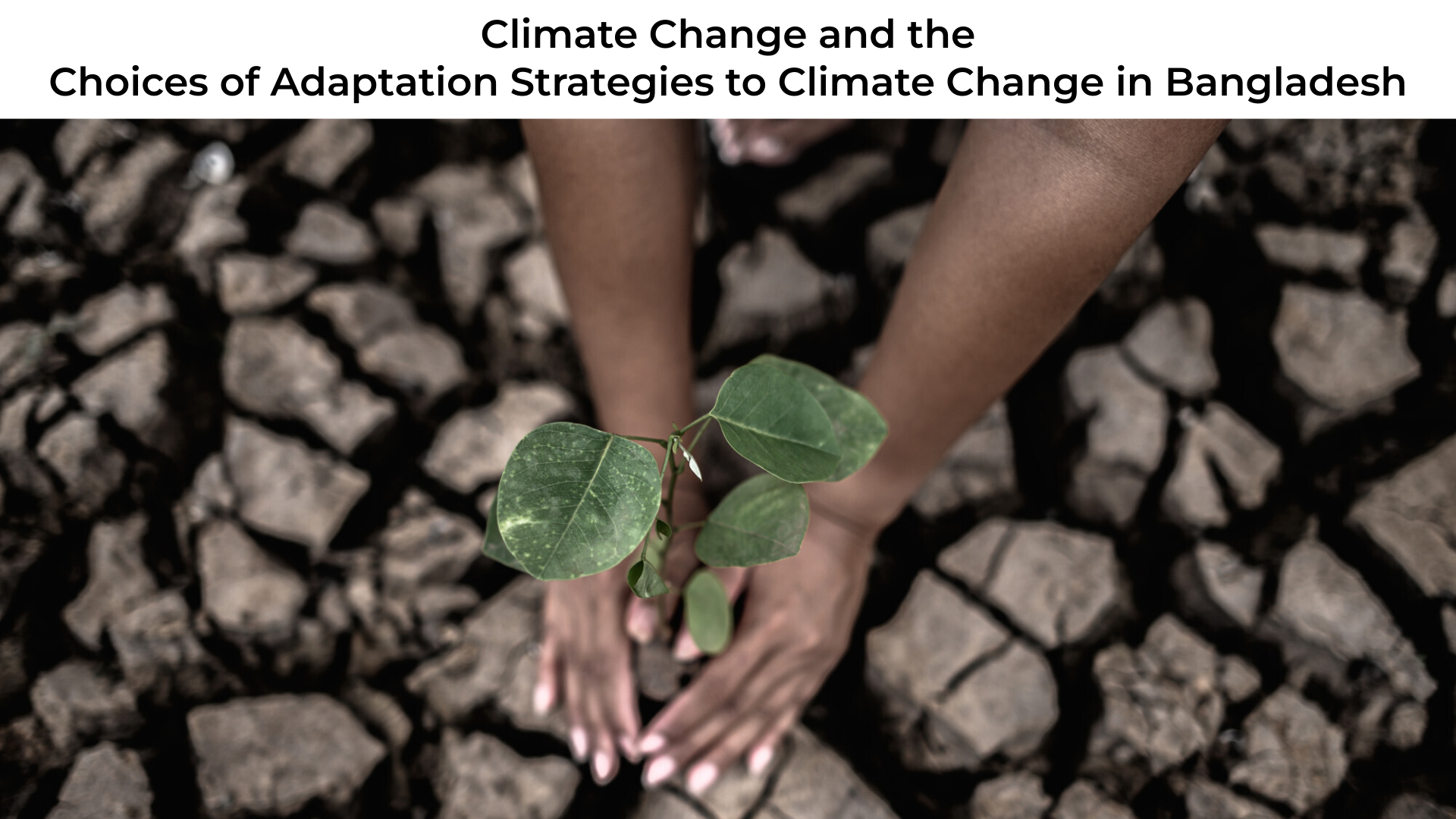 Climate Change and the Choices of Adaptation Strategies to Climate Change in Bangladesh