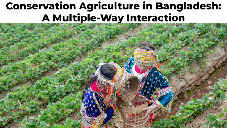 Conservation Agriculture in Bangladesh: A Multiple-Way Interaction