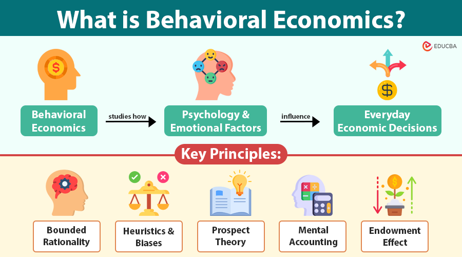 Behavioral Economics in Everyday Life: 7 Powerful Principles You Must Know (2025 Guide)